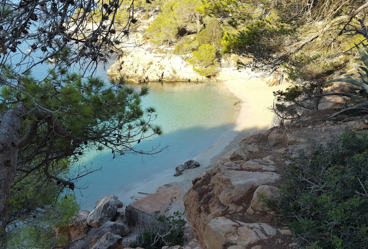 Las dos bahias de Cala salada Ibiza rent a car